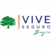 Vive Seguro Bajío